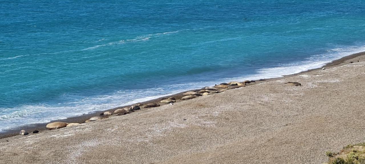 La Elvira Natural Lodge Nature & Wildlife Experience In Peninsula Valdes Punta Delgada Εξωτερικό φωτογραφία