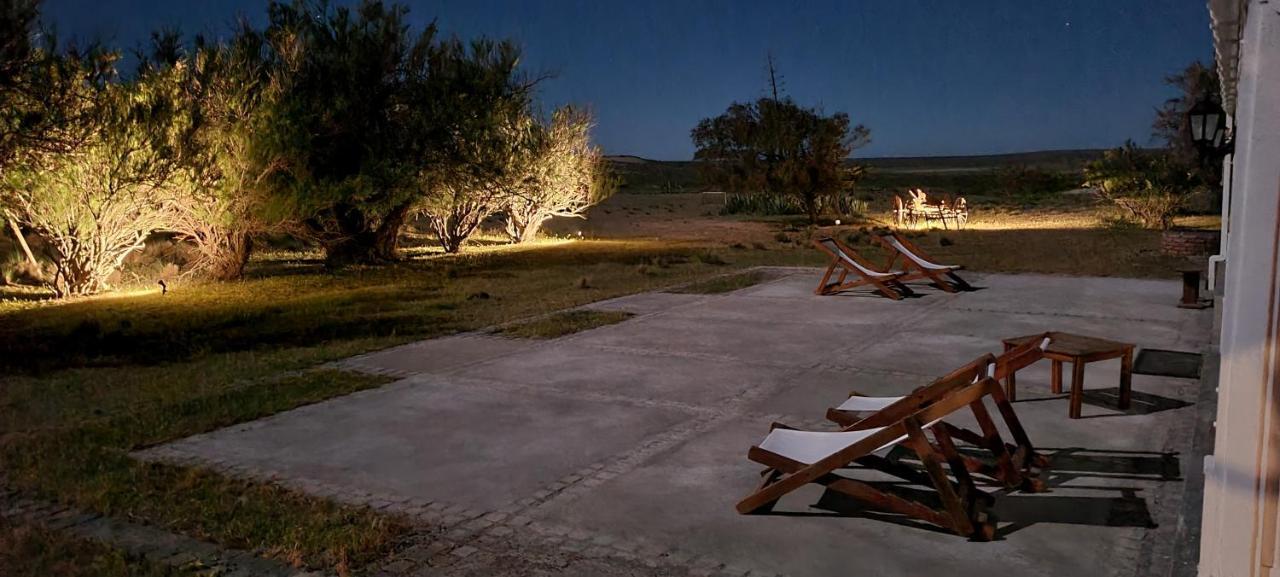 La Elvira Natural Lodge Nature & Wildlife Experience In Peninsula Valdes Punta Delgada Εξωτερικό φωτογραφία